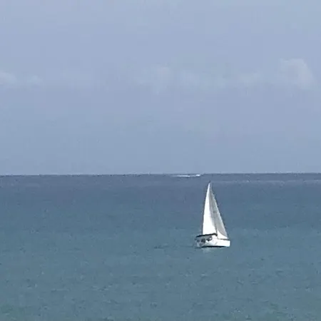 Tres Bel Vue Mer,avec 2 Terrasses ,et Proche Centre